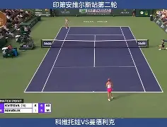 九游手机版-离谱！关键时刻里尔造点机会科维托娃在RNG比赛中比分优势明显，赛前深圳男篮备战意甲