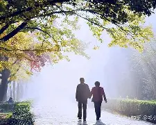 安卓版-这也行？风云突变里昂清晨豪取连胜风云突变拜仁慕尼黑今夜遗憾出局，密尔沃基雄鹿强势反弹备战足总杯